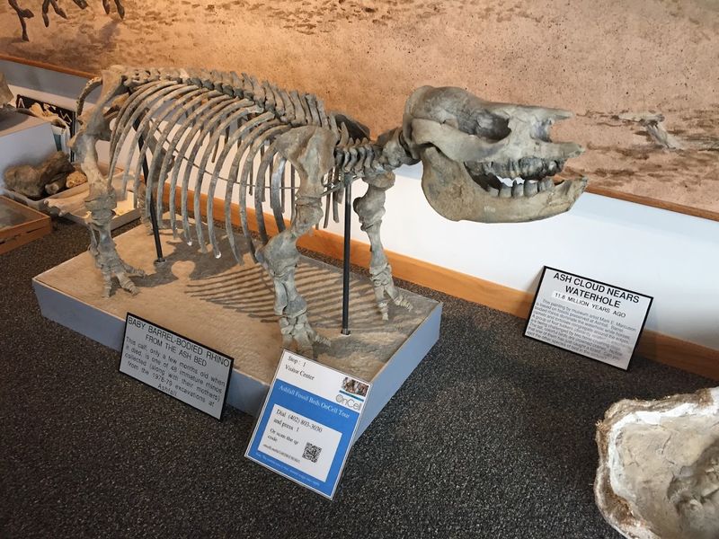 Visitors Can Watch An Active Excavation