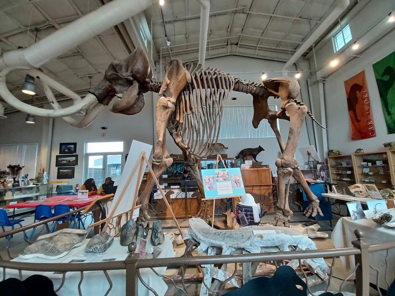 Fossil Discovery Center of Madera County, Chowchilla