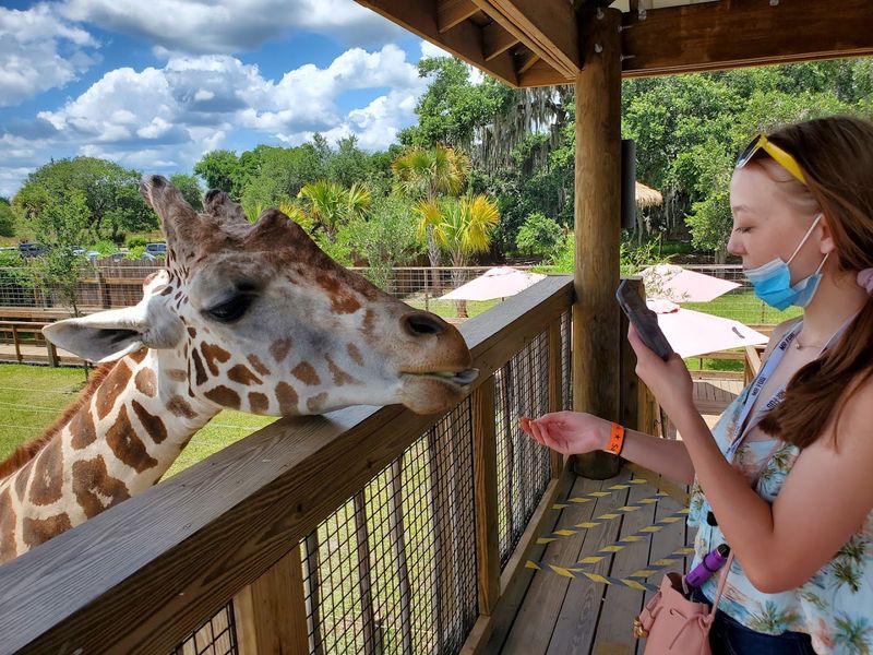 Wild Florida Adventure Park