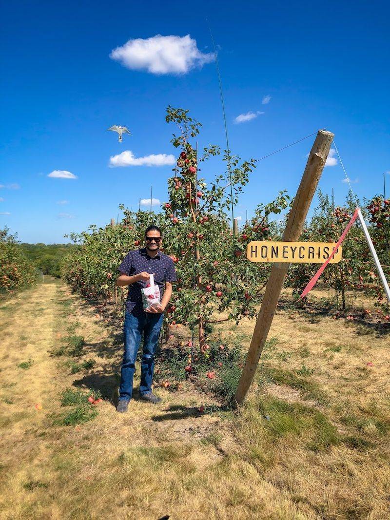 Signs Show Which Rows Are Ready For Picking