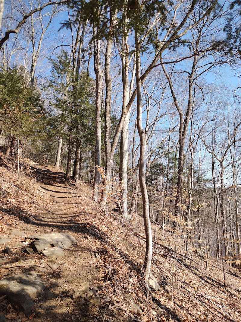 A Trail Connection Continues Into Sunrise State Park