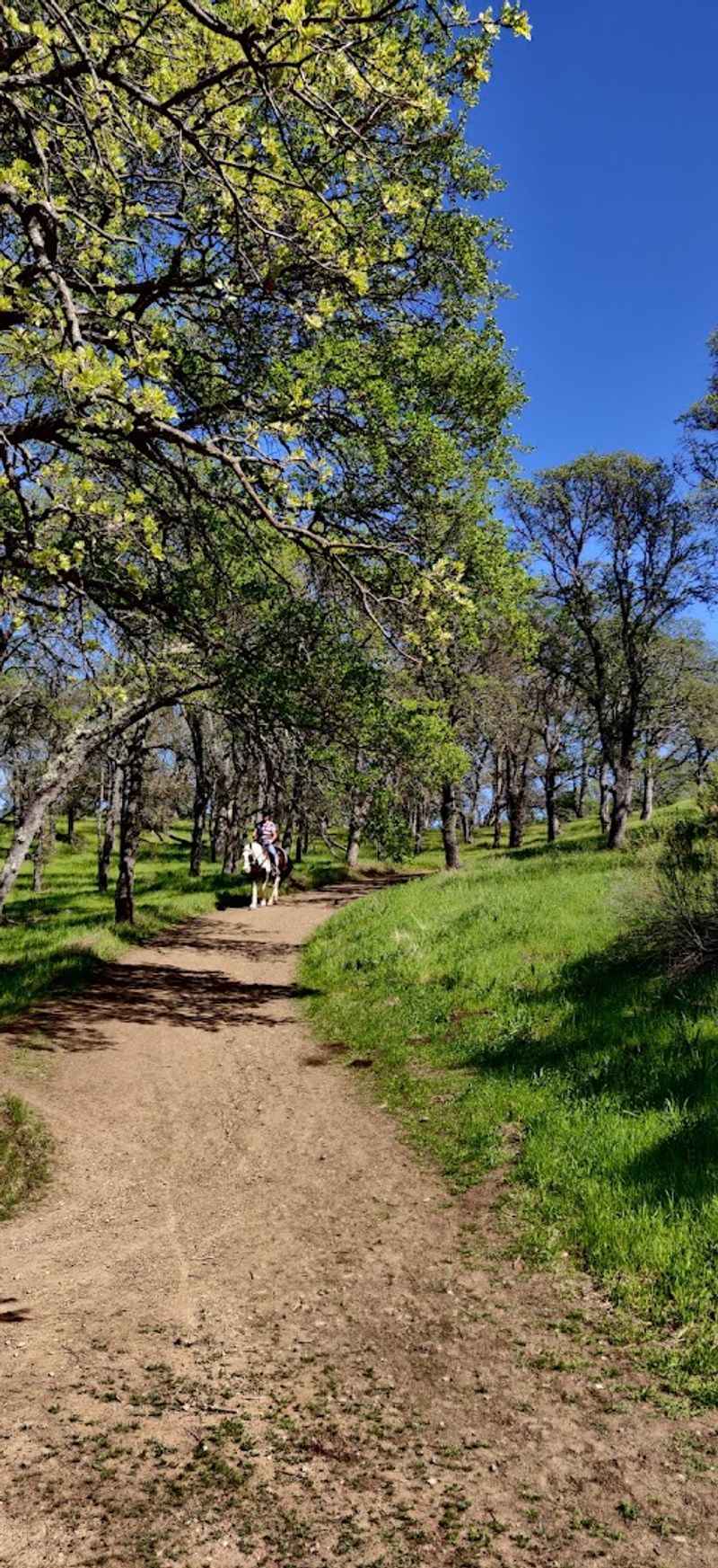 You Haven't Experienced California Until You've Walked This Cliffside Trail With Unforgettable Mountain Views - Decor Hint Nearly 3,800 Feet Of Climbing Makes Every View Feel Earned