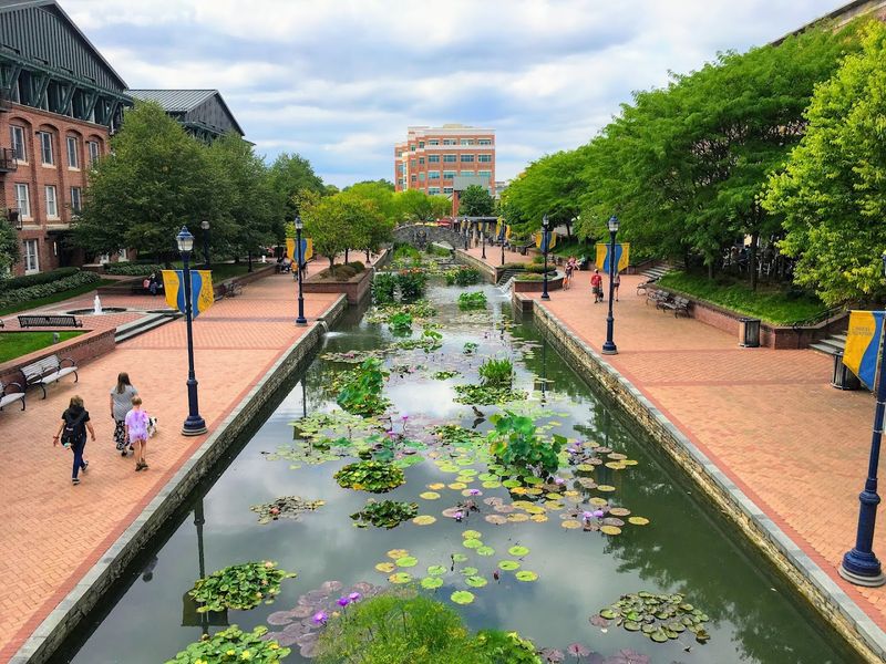 Wander Frederick's Historic District And Carroll Creek