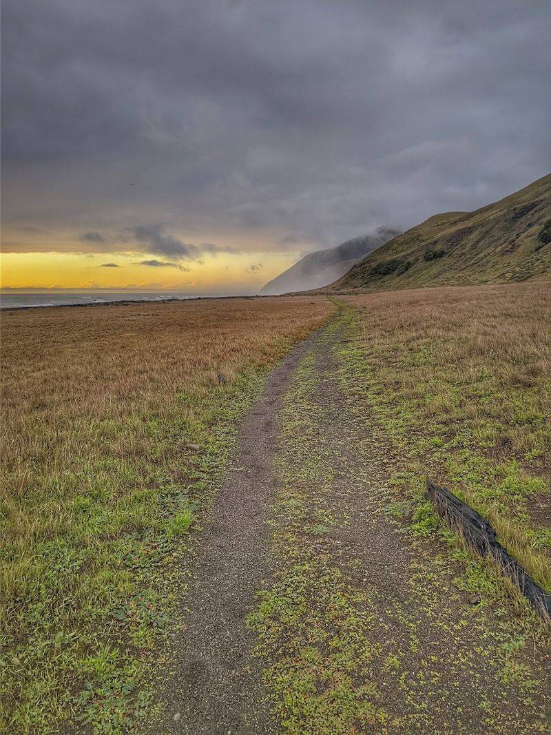 Enter The Lost Coast Trail