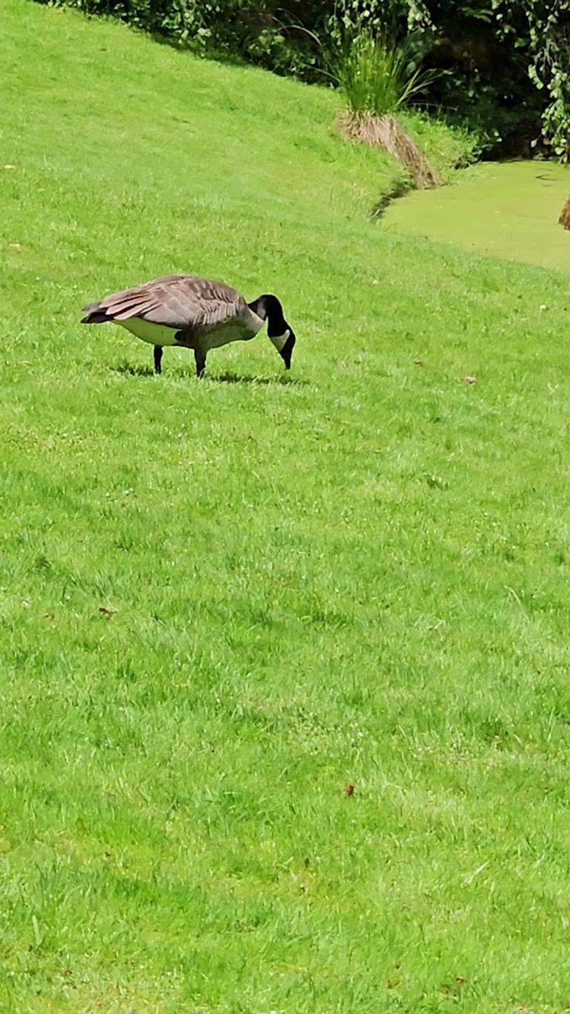 Wildlife You Might Spot