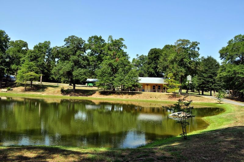 These 13 Dog-Friendly Campgrounds In Georgia You'll Want To Book - Decor Hint Fair Harbor RV Park & Campground, Perry