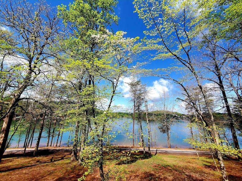 Camping Along Lake Chatuge With Mountain Views Included