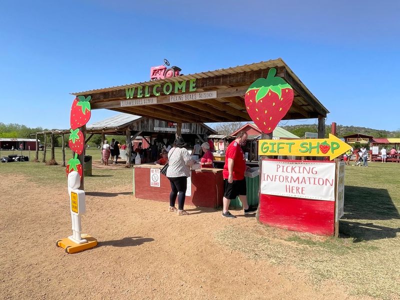 This Family Texas Farm Lets You Pick Fresh Peaches And Sunflowers Side By Side - Decor Hint Farm Market, Ice Cream, And Homemade Goods