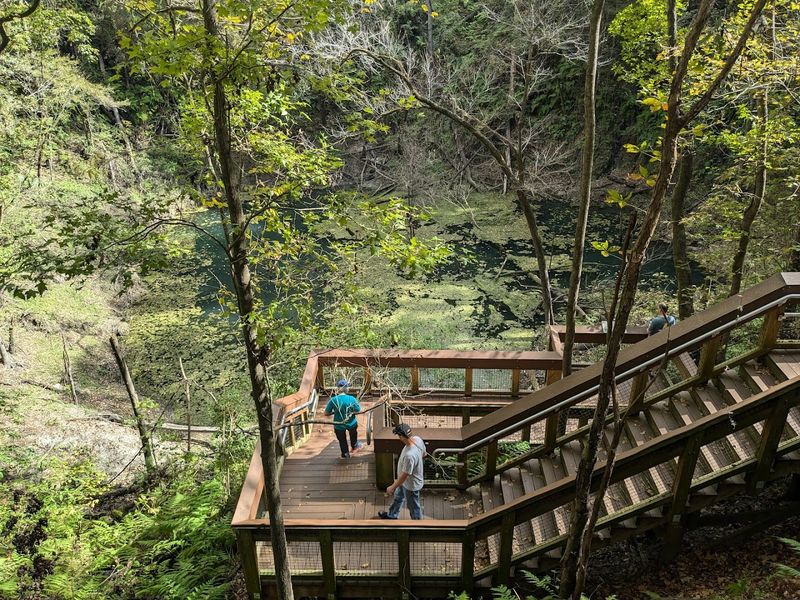 Devil's Millhopper Geological State Park, Gainesville