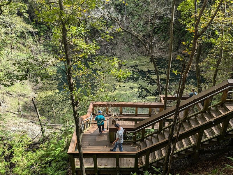 13 Florida Hikes Under Five Miles That Reward You With Amazing Views - Decor Hint Devil's Millhopper Boardwalk, Devil's Millhopper Geological State Park, Gainesville