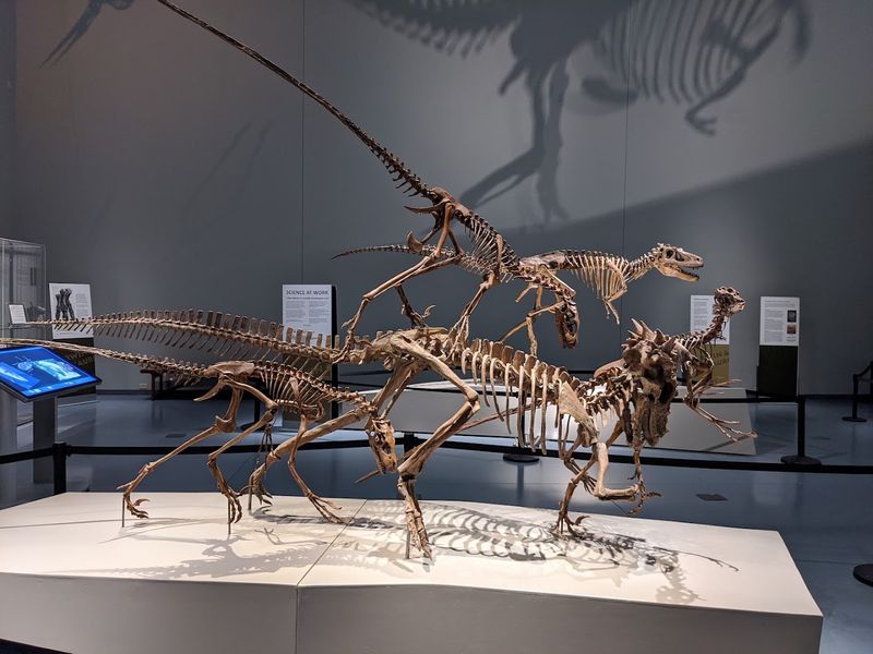 Rotating Exhibits Keep It Fresh