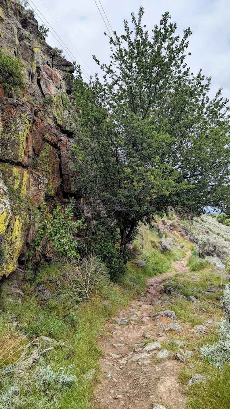 This Secluded Idaho Hike Leads To Centuries-Old Wagon Ruts - Decor Hint The Oregon Trail Connection Explained