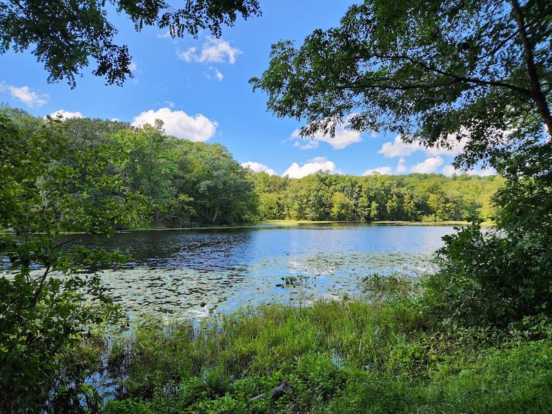 Picnic Areas To Enjoy