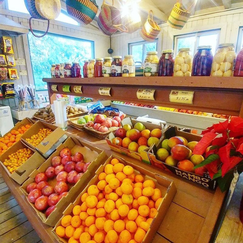 A Farm Market Offers A Faster Route To Fresh Produce