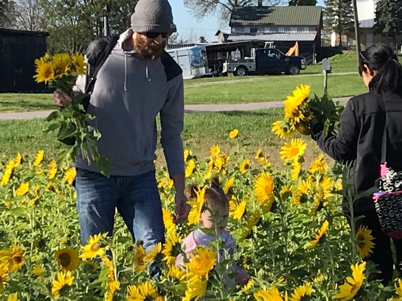 A Family Outing That Works For Everyone