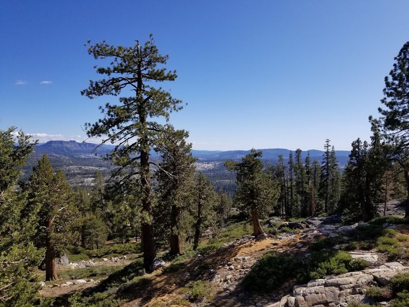 You Can Enjoy All 9 Of These California Road Trips Without Breaking The Bank - Decor Hint Ebbetts Pass Scenic Byway From Arnold To Markleeville