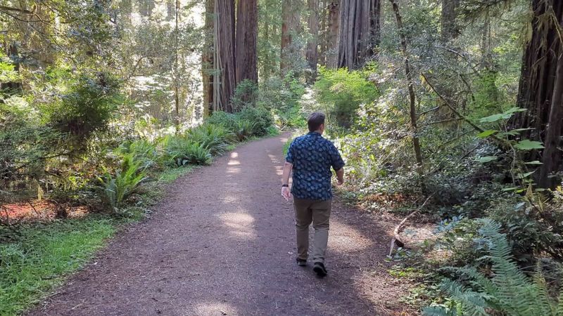 Lady Bird Johnson Grove Trail, Redwood National Park