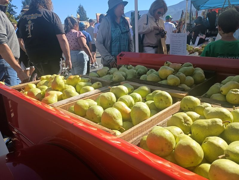 Kelseyville, Kelseyville Pear Festival (September 26, 2026)