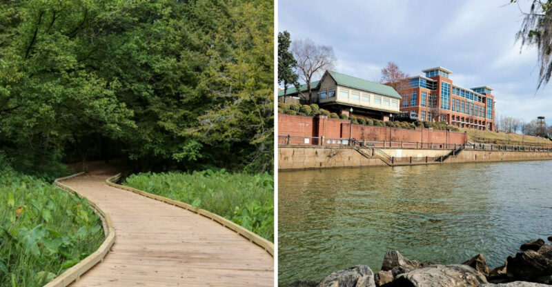 Few Walking Trails In Georgia Feel As Relaxing And Scenic As These 10 Senior-Friendly Routes