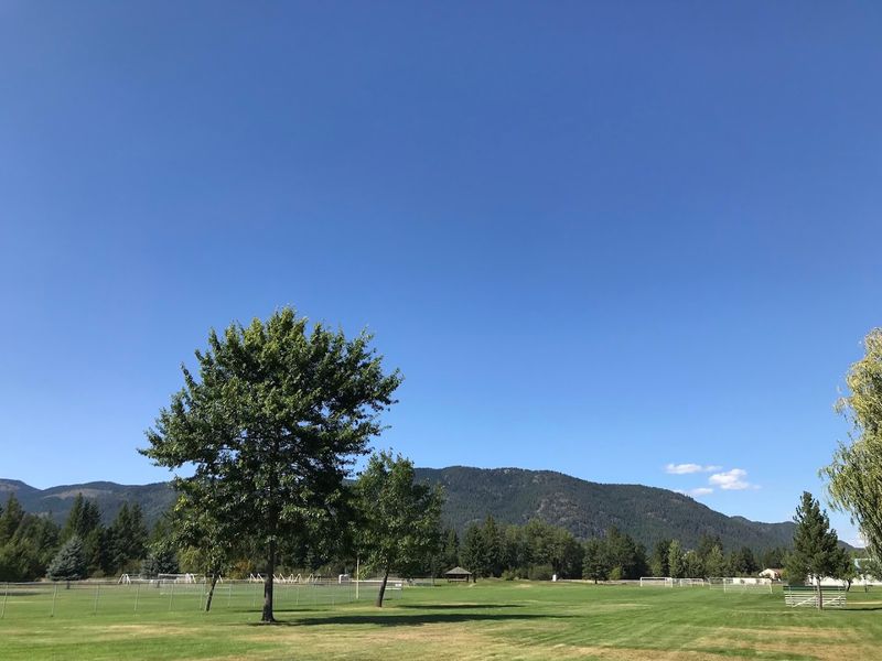 Picnic Spots Worth Claiming Early