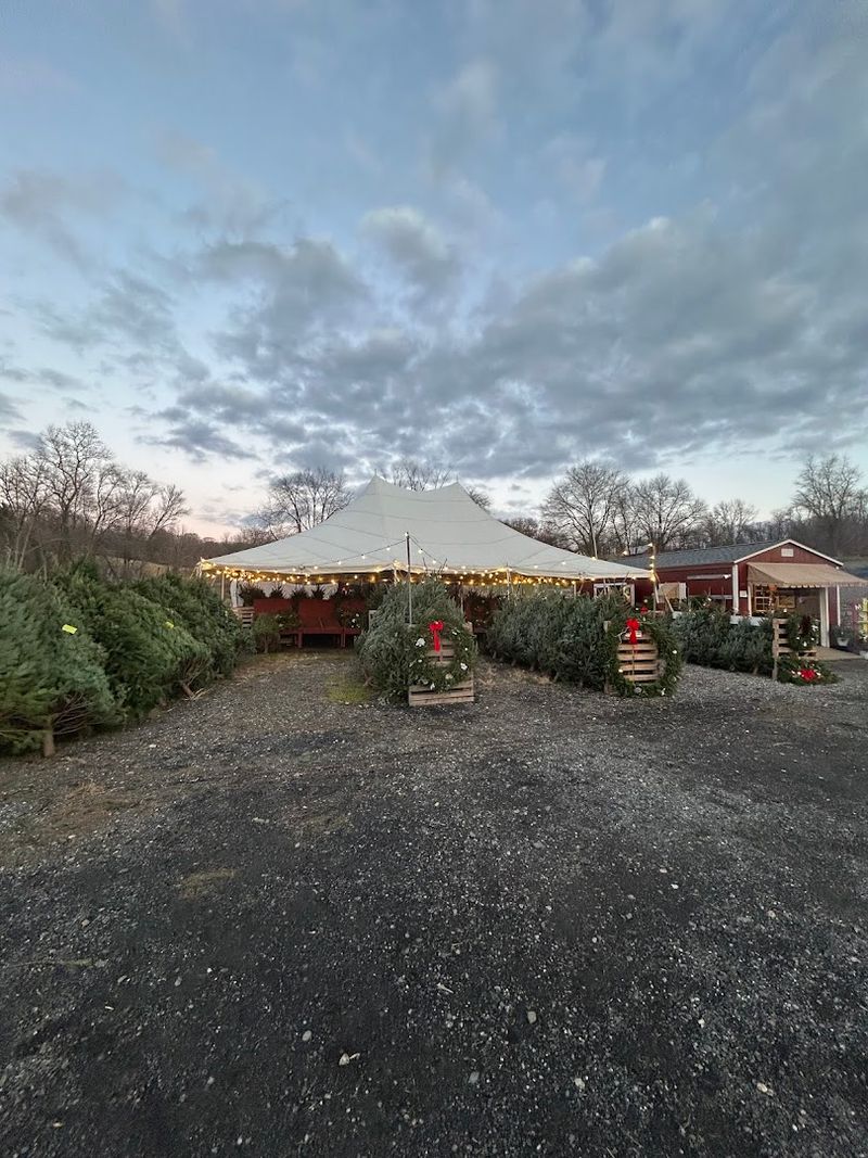 Ramsey's Farm, Wilmington