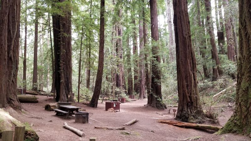Pack Lunch For A Quiet Picnic Near The Park Entrance