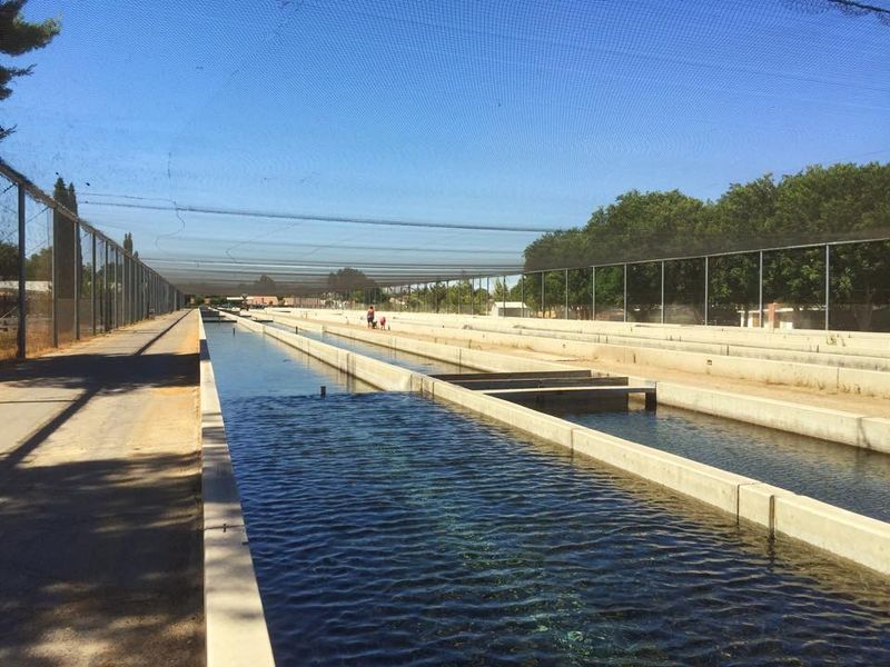 Mojave River Hatchery, Victorville