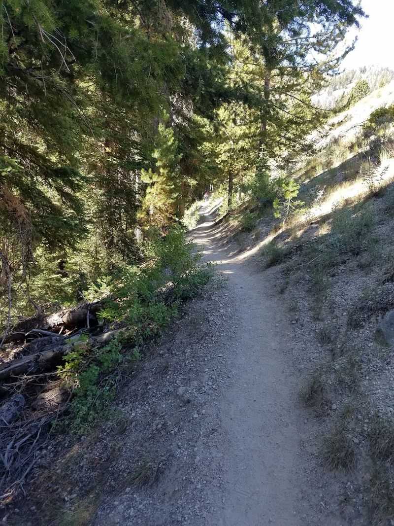 Cabin Creek Trail