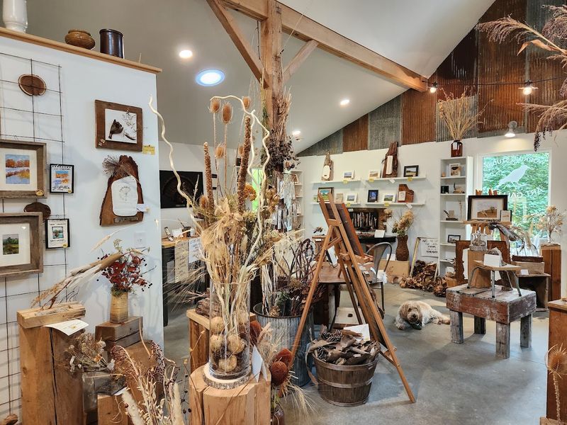 Environs Art Gallery And Small Studios