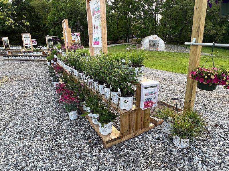 This Hidden Georgia Flower Farm Is A Colorful Escape Of Blooms, Greenhouses, And Garden Charm - Decor Hint EZ Scapes And Garden Planning Made Simple