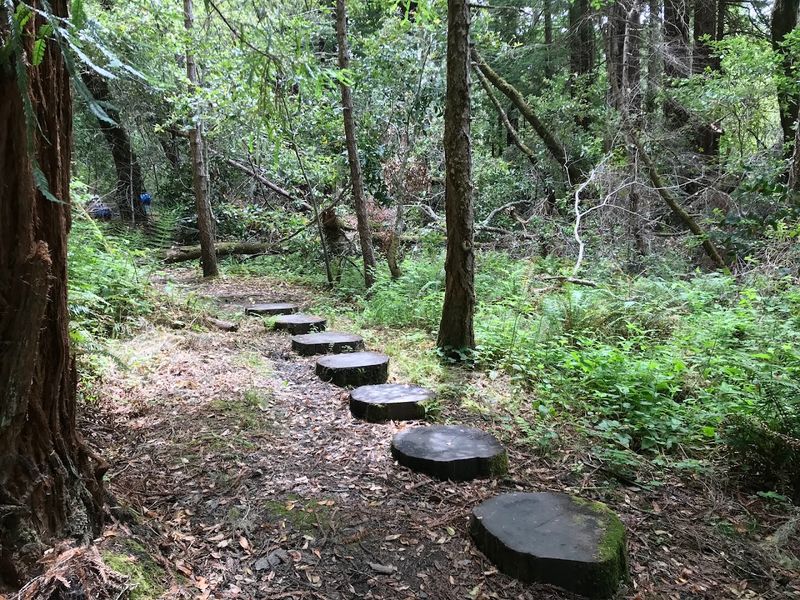Take On The Five-Mile Jackson Flats Loop