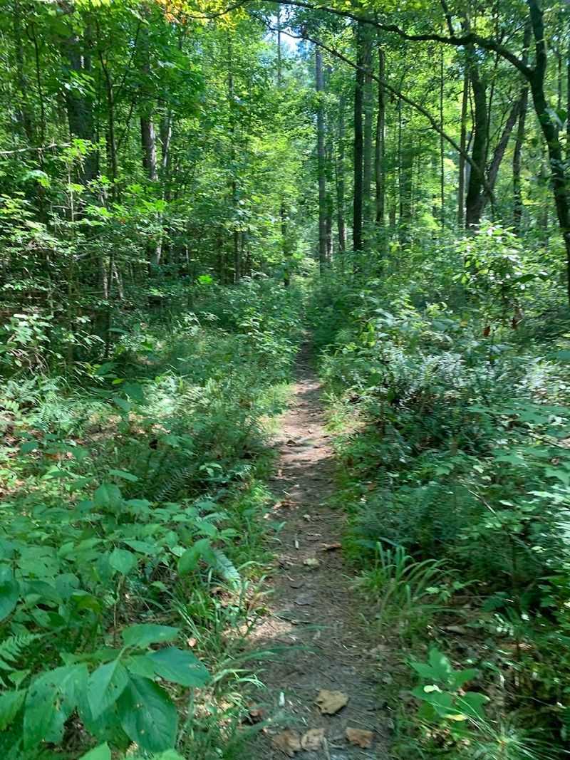 Look For The Marl Outcropping Before The Woods Distract You