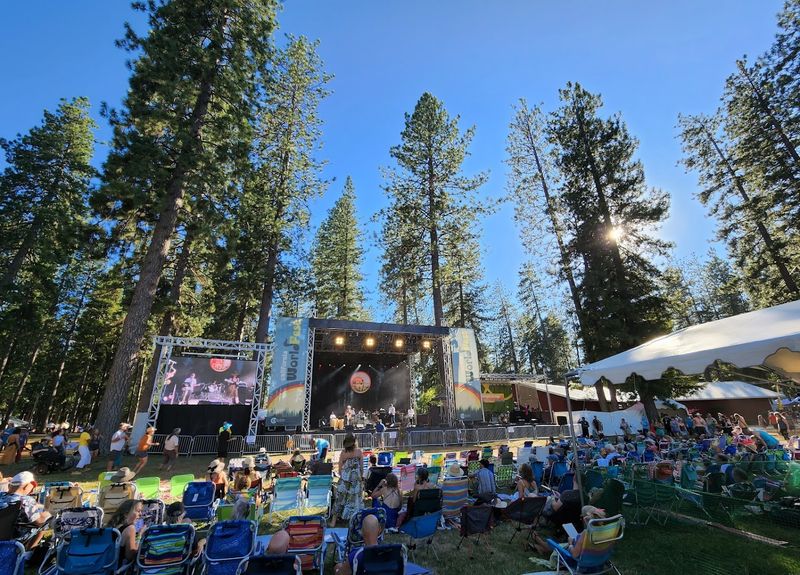 Catch Live Performances From More Than 50 Bands