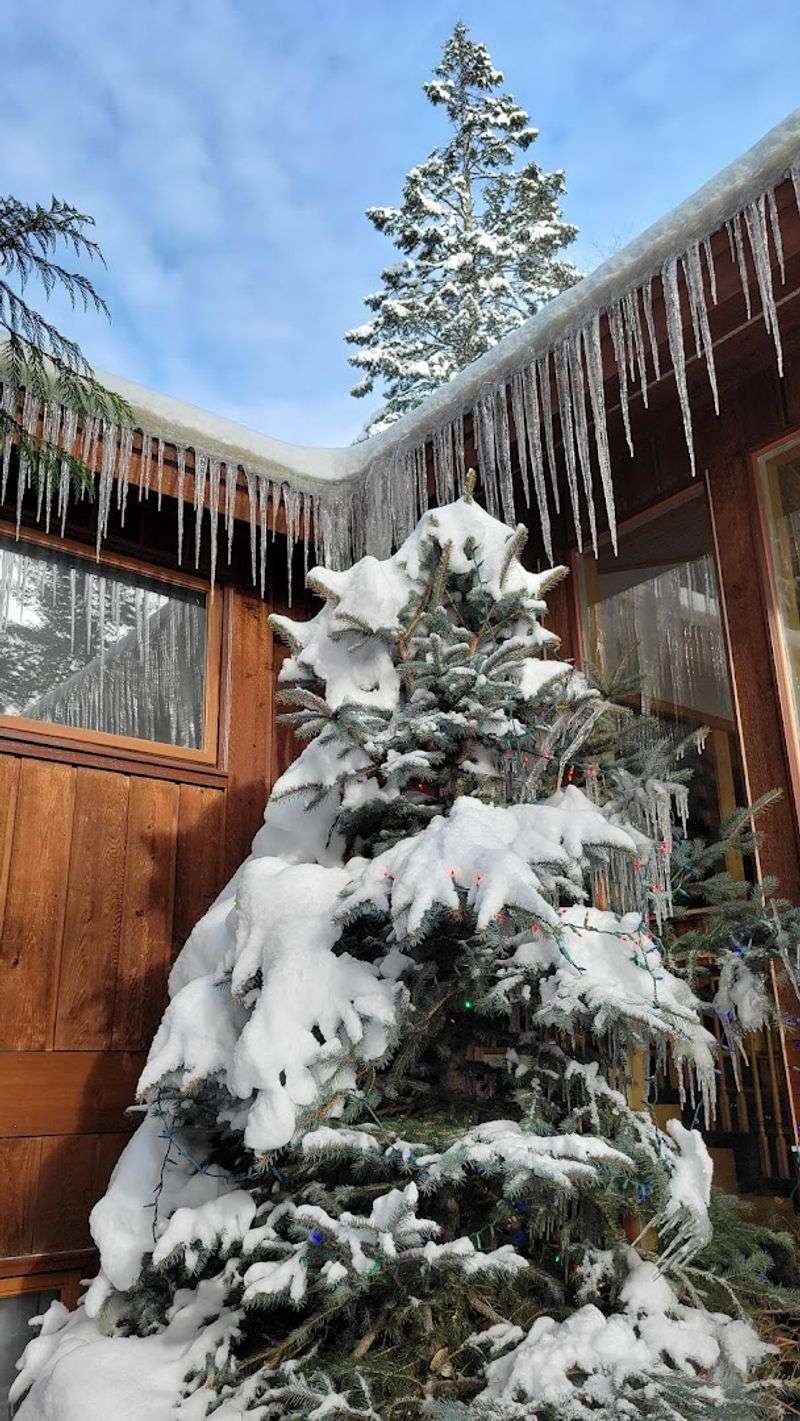 Add Schweitzer For The Alpine-Style Escape