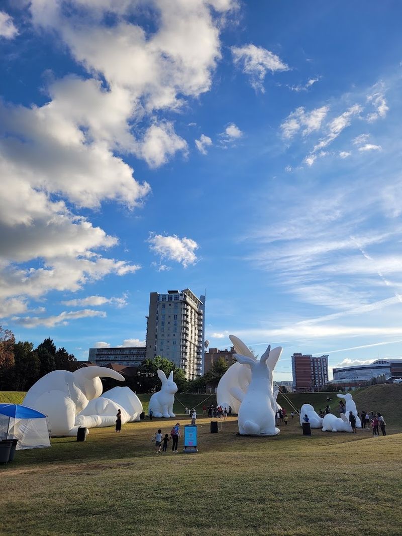 The Skyline Made The Bunnies Feel Even Bigger