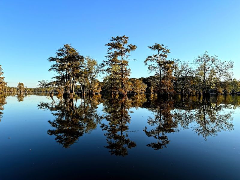 Chicot State Park, Ville Platte