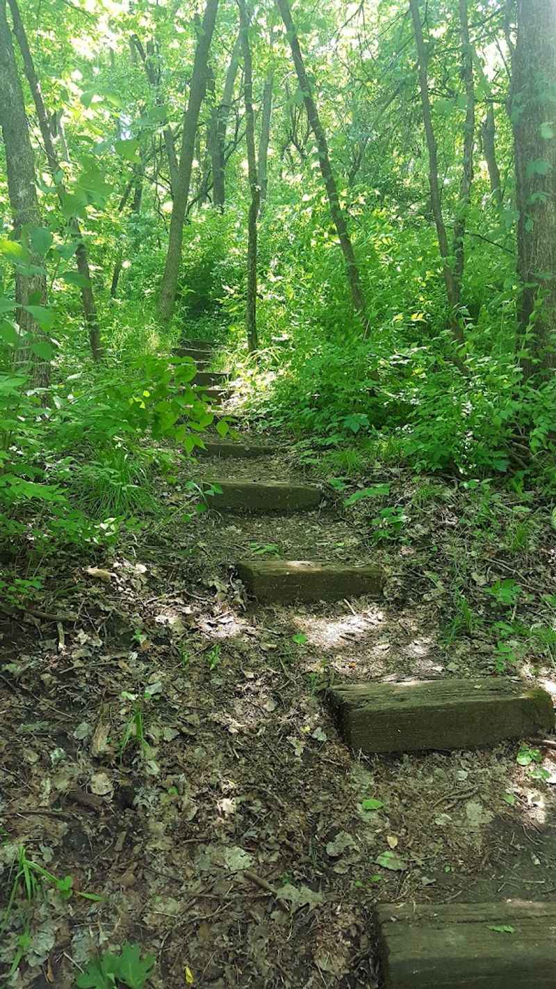 Neale Woods Nature Reserve, Omaha