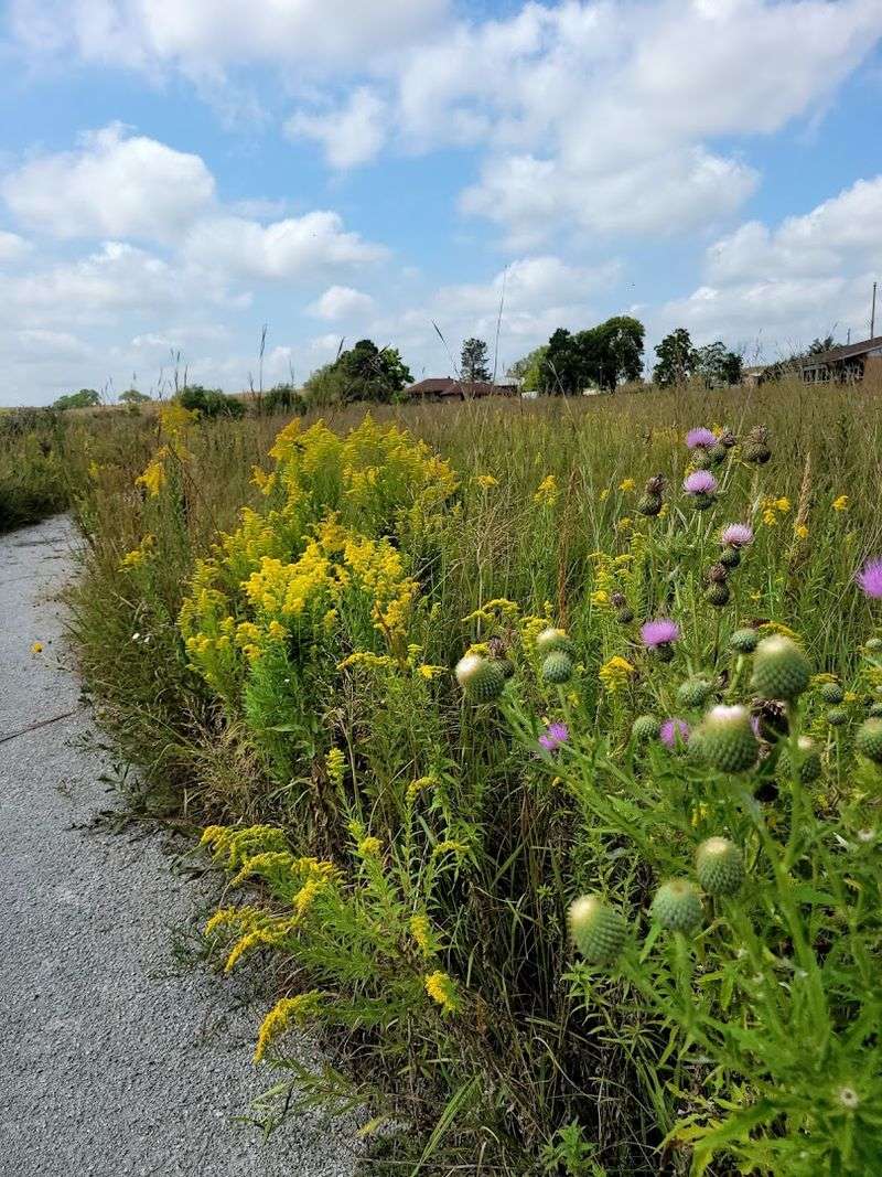 These 10 Nebraska Nature Escapes Come Alive With Wildflowers And Birds Every Summer - Decor Hint Spring Creek Prairie Audubon Center, Denton