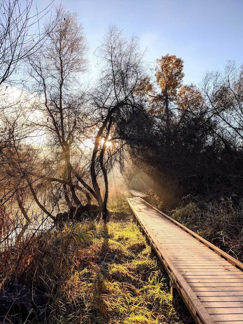 This Underrated California State Park Has Lakeside Cabins, Woodland Trails And One Of America's Best Bass-Fishing Lakes - Decor Hint The Dorn Nature Trail Climbs Through Oak Woodland