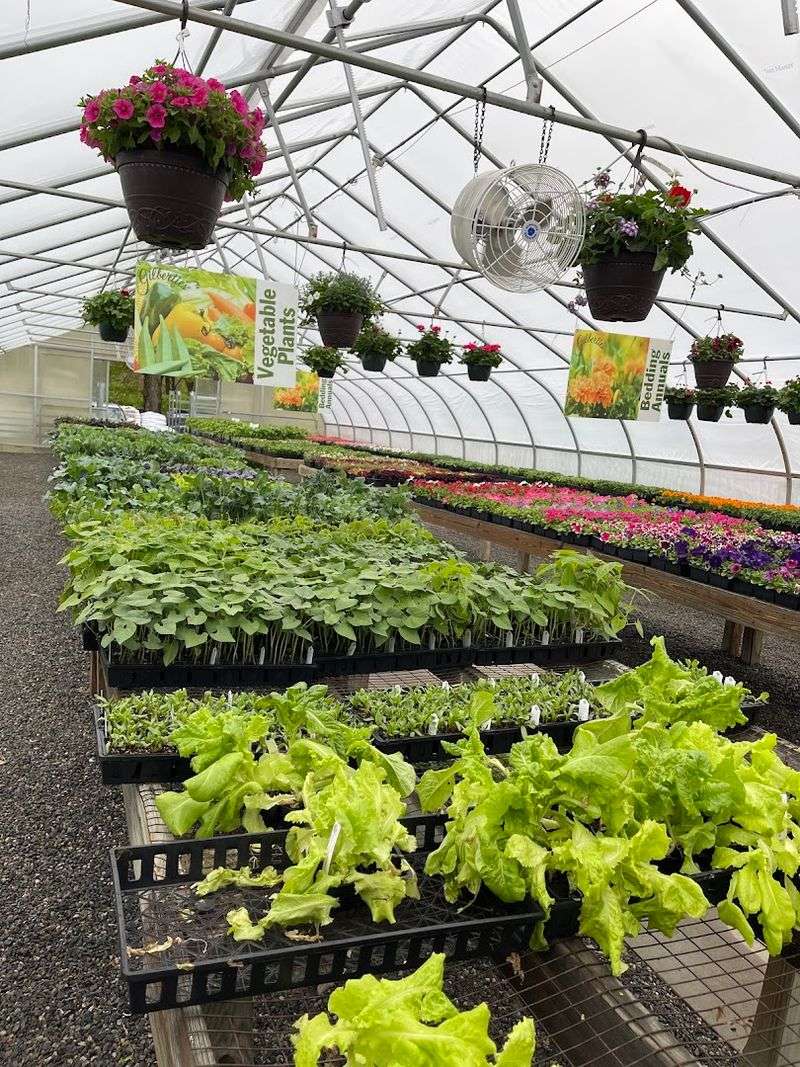 This Connecticut Herb Farm Is Filled With Fragrant Gardens Most People Never Knew Existed - Decor Hint Hundreds Of Organic Plant Varieties Fill The Greenhouses
