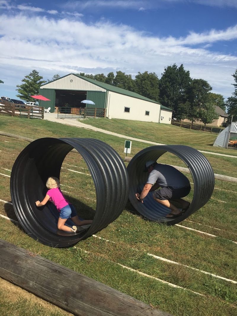 A Family Day Out That Does Not Feel Forced