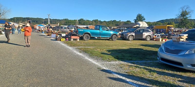 Parking Tips That Actually Help