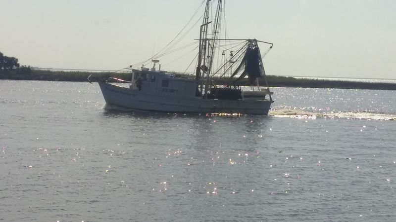 This Florida Seafood Festival Turns Apalachicola Into A Beloved Small-Town Coastal Tradition - Decor Hint The Blessing Of The Fleet Honors Apalachicola's Maritime Traditions
