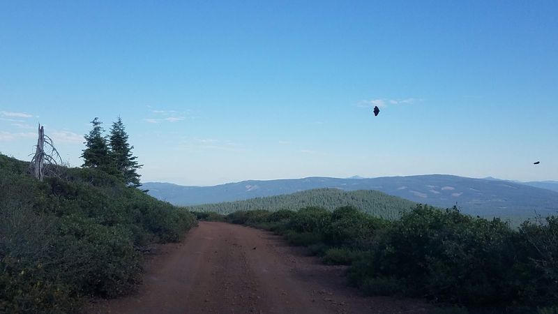 Peaceful Mountain Mornings Make Picking More Comfortable