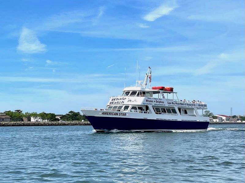 Cape May Whale Watch & Research Center, Cape May