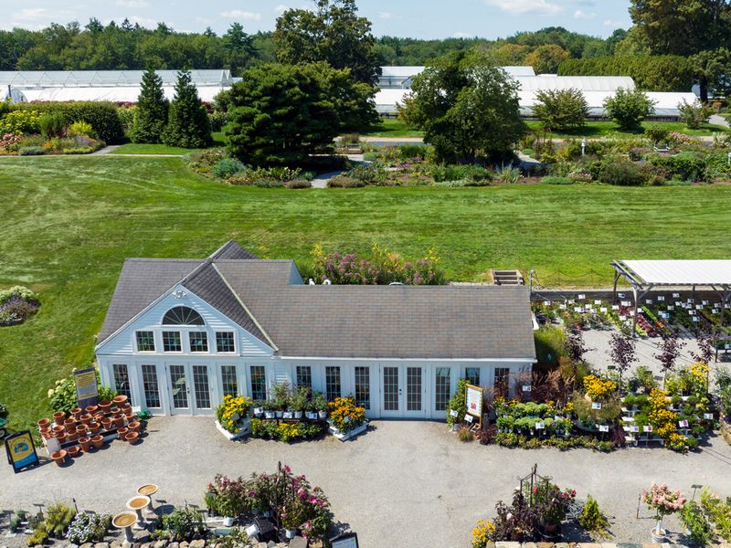 Plant Shopping Feels Like A Storybook Walk