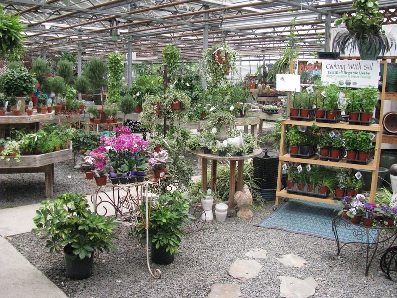 This Connecticut Herb Farm Is Filled With Fragrant Gardens Most People Never Knew Existed - Decor Hint Four Generations Have Continued The Growing Tradition