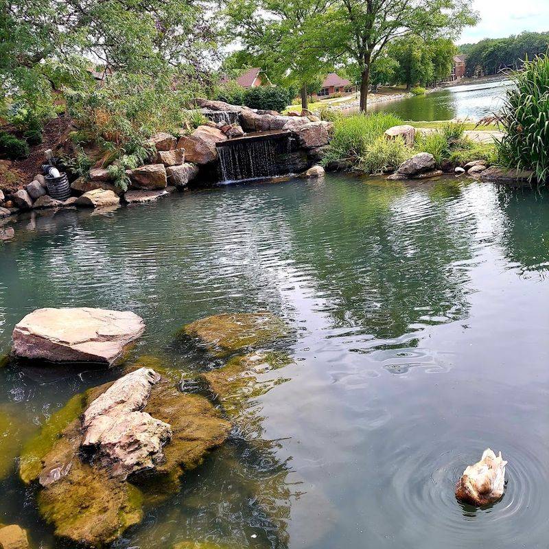 A Lakefront Nebraska Restaurant Makes Shrimp Taste Better Right Beside The Water - Decor Hint Shrimp Piccata Adds A Lemon-Caper Twist