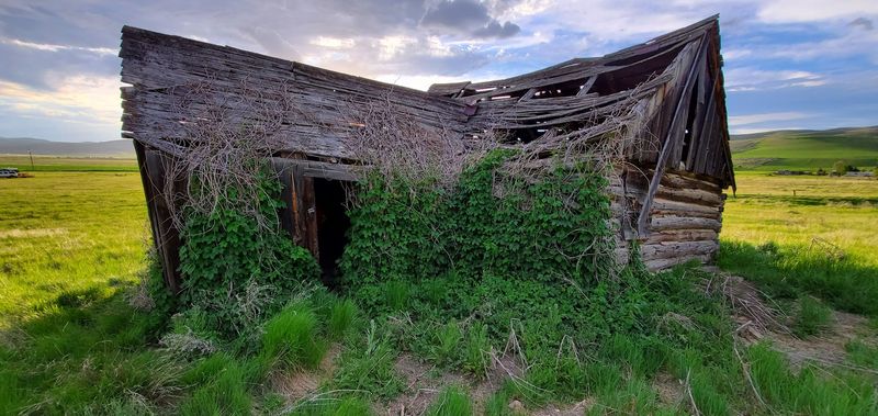 This Abandoned Idaho Pioneer Town Is Free To Explore, And Most People Have Never Heard Of It - Decor Hint Summer Visits Bring Chesterfield Back To Life