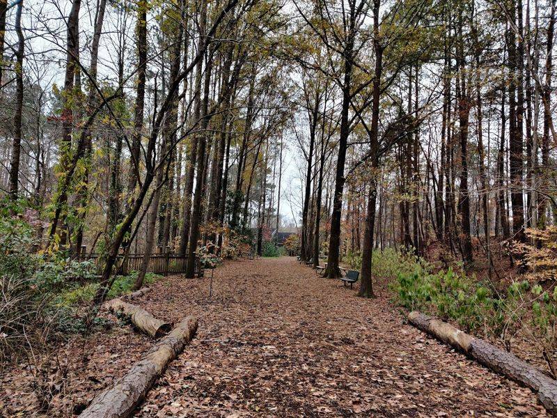 Hammock Gardens And Quiet Spots For Serious Relaxation